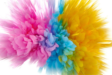 Wall Mural - Colored powder explosion. Abstract closeup dust on backdrop. Colorful explode. Paint holi