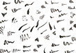 Big collection of different eyeliner strokes on white background	