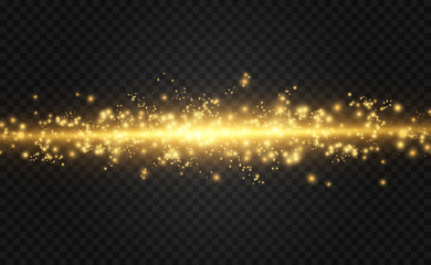 Poster - Vector golden light special effect. Glowing stripes on a transparent background.