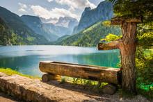 Drinking Basin By Gosausee Lake, Dachstein Behind