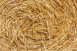 Straw bales texture background. Wheat haystacks after the harvest. Dry straw macro shot. Roughly chopped wheat