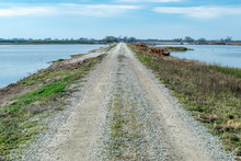 USA, California, Kern County, Kern National Wildlife Refuge. Water On Both Of A Dirt Road Along The Driving Tour Route.