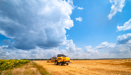 Combine harvester in action on the field. Combine harvester. Harvesting machine for harvesting a wheat field.