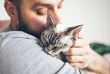 Fototapeta Koty - Close-up of cat and man. Portrait of a Devon Rex kitten and young beard guy. Handsome animal-lover man is hugging and cuddling his little kitty. Cat is purring and enjoying human company.