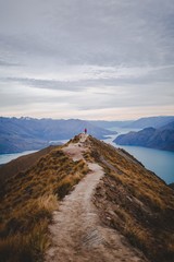 Wall Mural - Vertical high angle shot of a person standing on the end of walking road on Roys Peak in New Zealand
