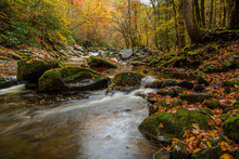 Fall, Great Smoky Mountains