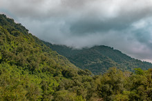Mountains Covered With A Lush Forest Near Tafi Del Valle, Argentina.
