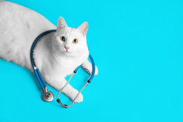 Wall Mural - Cute cat with stethoscope as veterinarian on light blue background, above view. Space for text