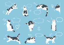 Cute Cats With Speech Bubbles