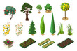 Set isometric of plants for garden. Trees, flower beds and vegetable beds