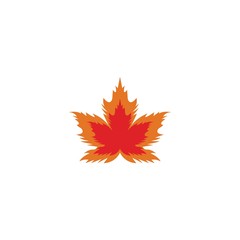 Wall Mural - Vector illustration of autumn red and orange maple leaves with white background
