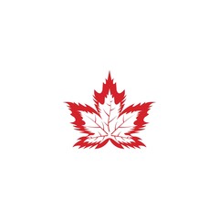 Wall Mural - Vector illustration of autumn red maple leaves with white background