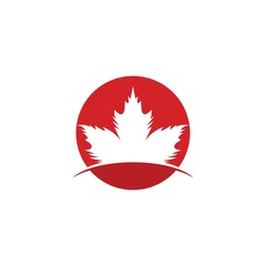 Wall Mural - Vector illustration of autumn red maple leaves with white background