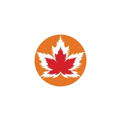 Wall Mural - Vector illustration of autumn red and orange maple leaves with white background