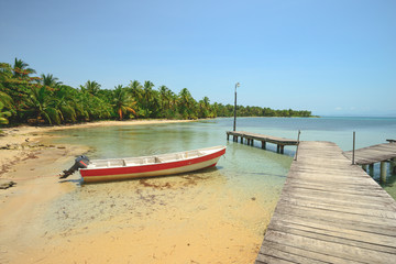 Wall Mural - Starfish jetty