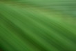 © susansam90 - green grass  abstract background