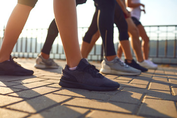 Wall Mural - Legs of a group of sports people runners on a track in a park.