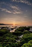 Fototapeta Na ścianę - Sunrise over a beach with coral reefs covered by green moss in Sawarna, Banten, Indonesia