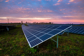 Wall Mural - photovoltaic power plant during sunrise