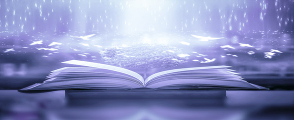 Poster - The concept of education by planting a tree of knowledge in the opening of an old book in the library and the magical magic of light that flies to the destination of success. Beautiful background