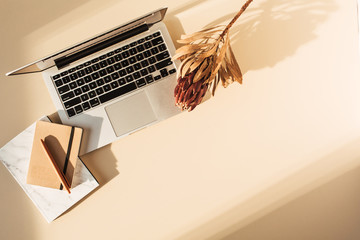 Wall Mural - Flat lay view of laptop, protea flower and notebook. Minimal girl boss blog work concept. Freelancer home office table desk workspace.