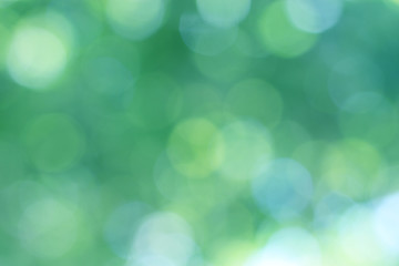 Sticker - beautiful abstract background of holiday lights