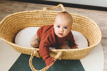 Wall Mural - Adorable six month old baby girl in a basket on the floor and looking into the camera