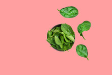 Fresh Raw Spinach Leaves In Dark Bowl Isolated On Cherry Pink Background. Healthy Plant Based Diet Detox Smoothies Ingredient. Minimalist Creative Food Poster