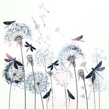 Elegant Vector Illustration With Dandelions And Dragonflies
