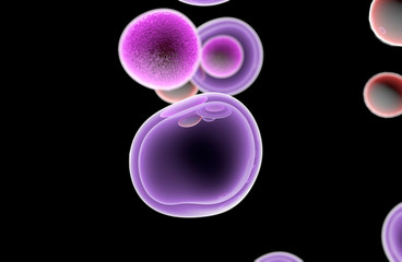 Wall Mural - embryonic stem cells cellular-therapy regeneration