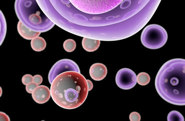 Wall Mural - embryonic stem cells cellular-therapy regeneration