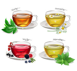  Realistic vector tea set with black, peppermint, chamomile and berry tea. Vector illustration.