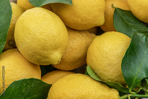 Close view of fresh yellow lemons with green leaves background Tableau sur Toile
