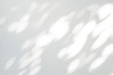 Aufkleber - Abstract leaves shadow and light blurred background with light bokeh