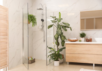 Interior of modern bathroom with green plants