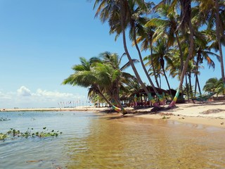 palm-lined sweet water beach at ada foah, Ghana