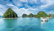 © Balate Dorin - Landscape with Halong bay and Ti Top Beach, Vietnam