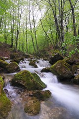  Stream with waterfall and mossy stones around