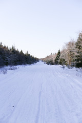 Canvas Print - Snowy winter trail