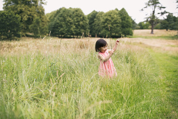 Wall Mural - toddler girl playing in  summer countryside forest park,Northern Ireland