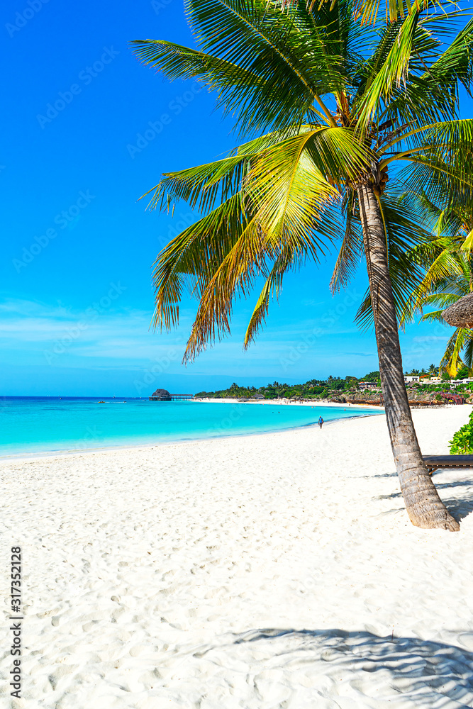 Panoramic view of a beautiful sunny day on sandy beach in the Maldives. - obrazy, fototapety, plakaty 