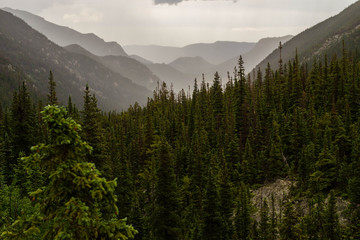  mountains and pine trees