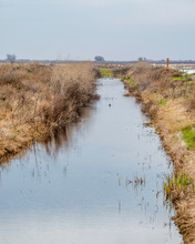 USA, California, Kern County, Kern National Wildlife Refuge. Irrigation Ditch At Kern National Wildlife Refuge Allows For The Control And Distribution Of Water Rights To Farms In The Valley.
