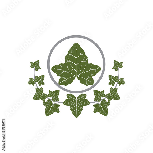 Fotografía Vector of Ivie leaf design eps format, suitable for your design needs, logo, illustration, animation, etc