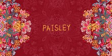 Beautiful Elegant Abstract Paisley Flower