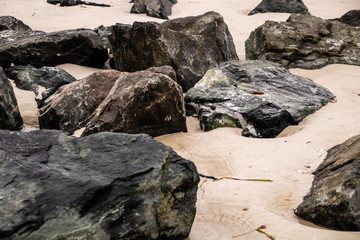 Wall Mural - Rocky coast