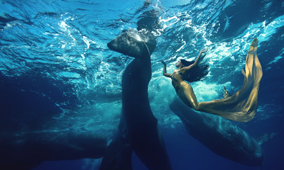 Wall Mural - brunette girl in mermaid suit diving with whales in blue ocean water