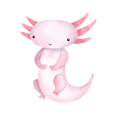  Cute sitting watercolor kawaii pink violet axolotl isolated on white background