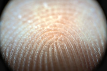 Fingerprint Close Up Tap