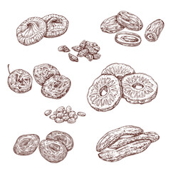 Sticker - Dried fruits and candied berries isolated vector sketches. Dates, raisins and prunes, dried apricots and figs, pineapple and banana monochrome sketches